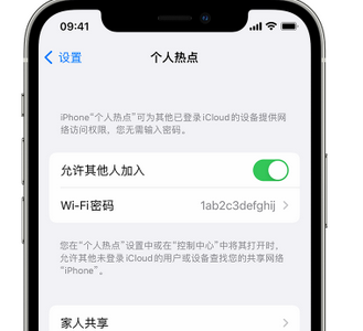 城区apple服务站点分享iPhone上个人热点丢失了怎么办 