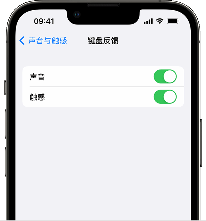 城区苹果14维修店分享如何在 iPhone 14 机型中使用触感键盘 