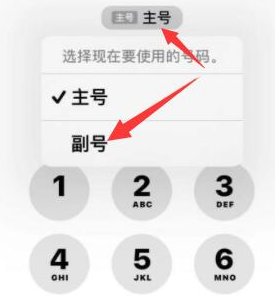 城区苹果14维修店分享iPhone 14 Pro Max使用副卡打电话的方法 