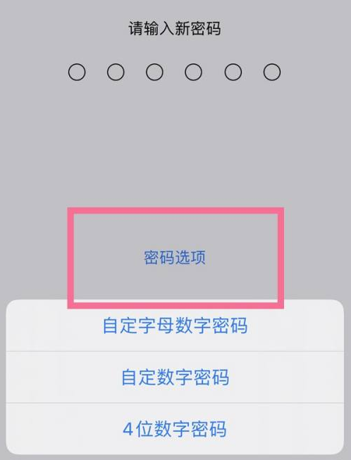 城区苹果14维修分享iPhone 14plus设置密码的方法 