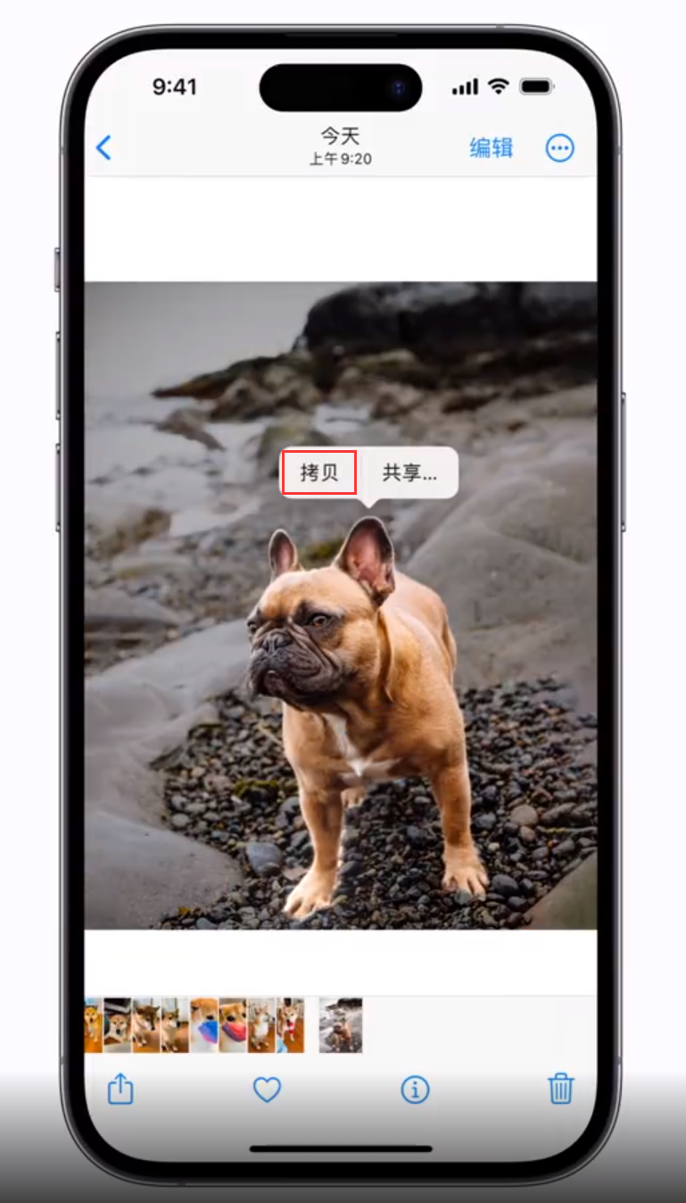 城区苹果手机维修分享 iOS 16 自带一键抠图功能 