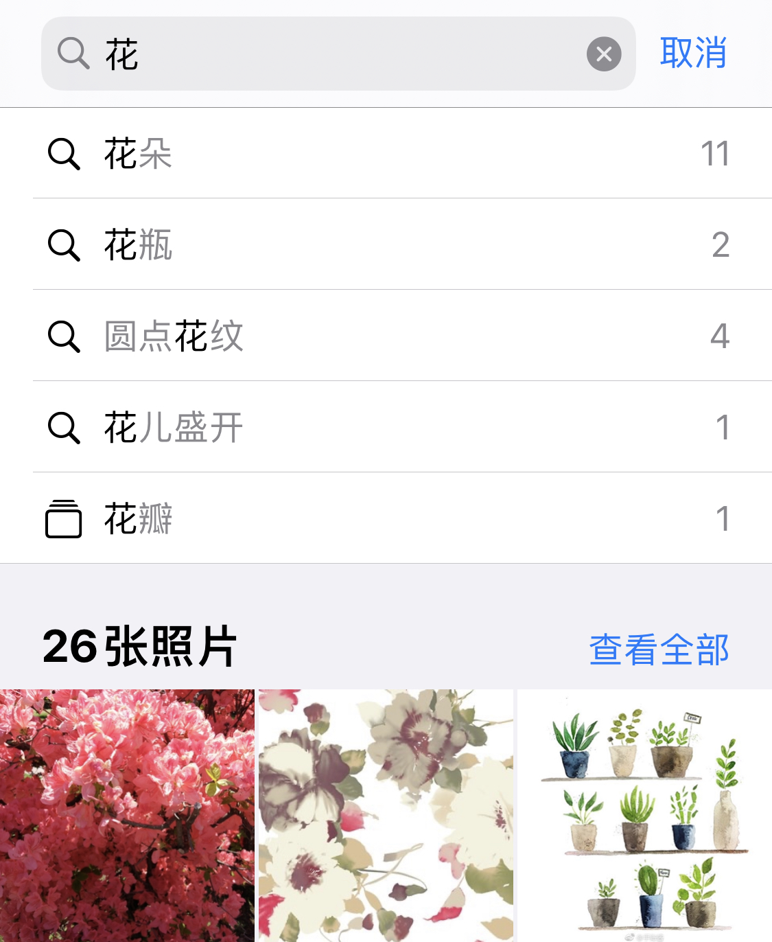 城区苹果手机维修分享iPhone 小技巧 