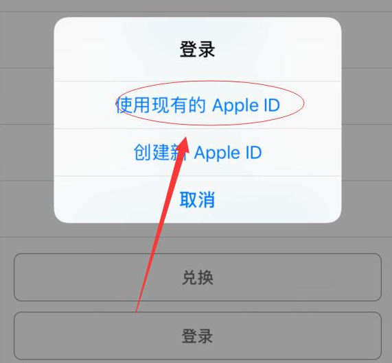 城区苹果手机维修分享两台iPhone设备可以同时登录一个Apple ID吗 