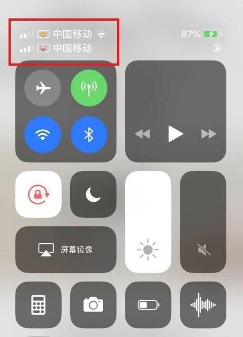 城区苹果手机维修分享为 iPhone 12 双卡设置标签 